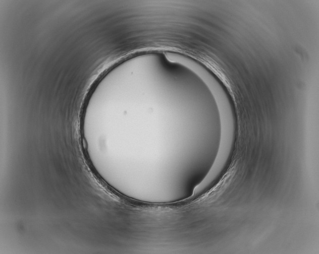 X0000112020797200908311153