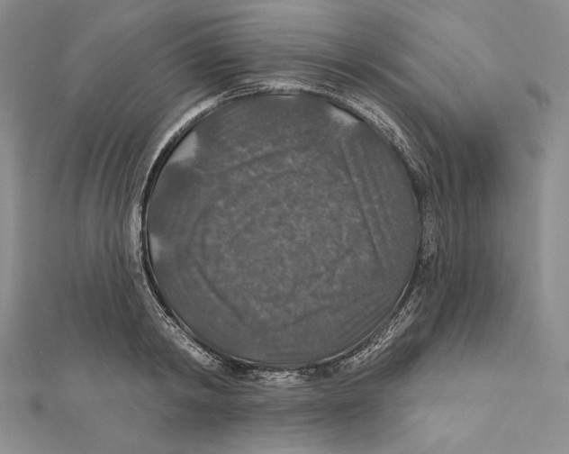 X0000112020798200908311153