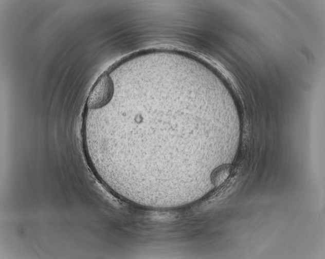 X0000112020799200908311153