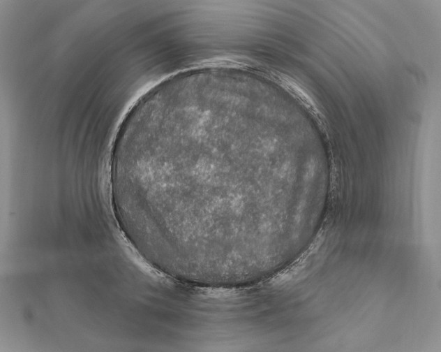 X0000112020800200908311153