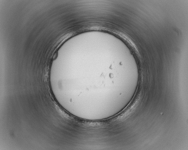 X0000112020801200908311153