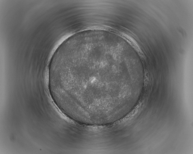 X0000112020804200908311153