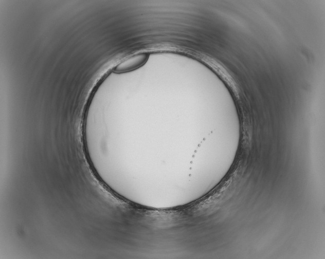 X0000112020805200908311153