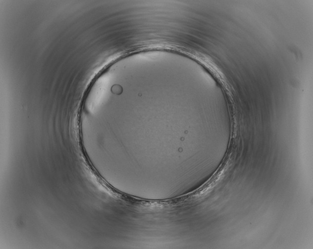 X0000112020806200908311153