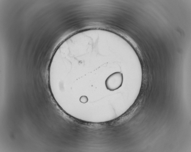 X0000112020807200908311153