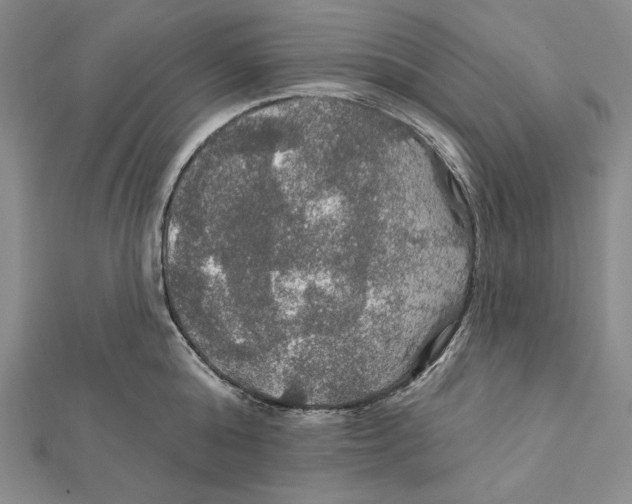 X0000112020808200908311153