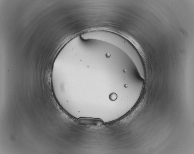 X0000112020809200908311153