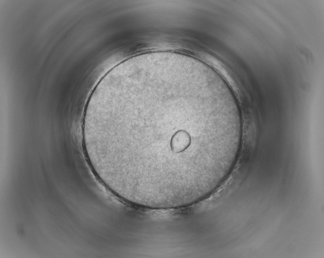 X0000112020810200908311153