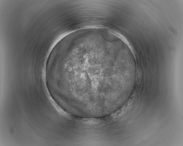 X0000112020811200908311153