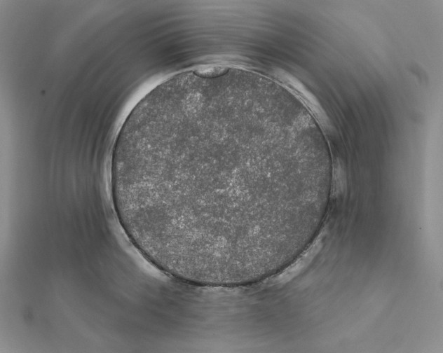 X0000112020812200908311153