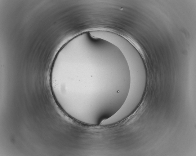 X0000112020813200908311153