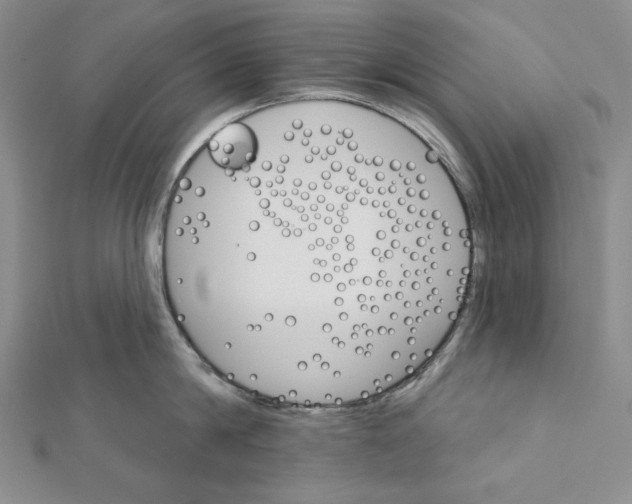 X0000112020814200908311153