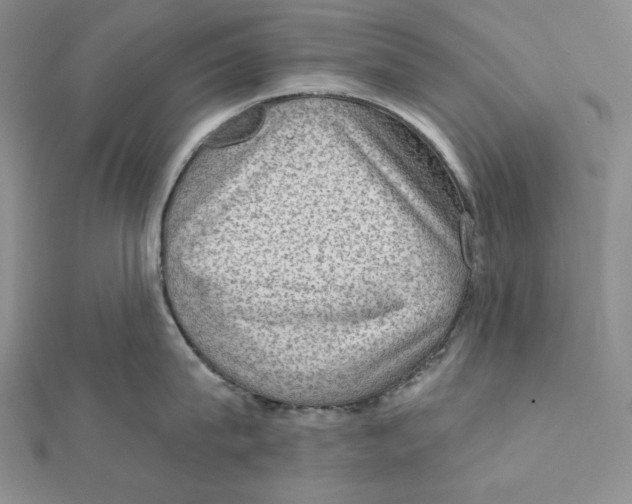 X0000112020815200908311153