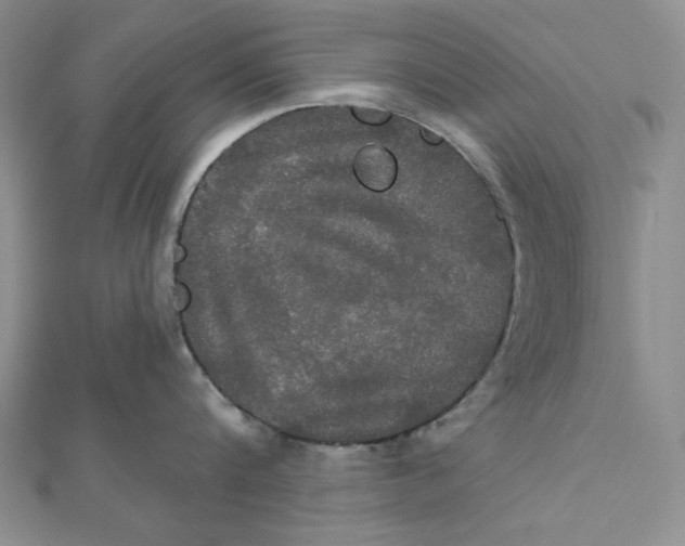 X0000112020816200908311153