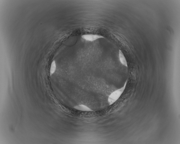 X0000112020817200908311152