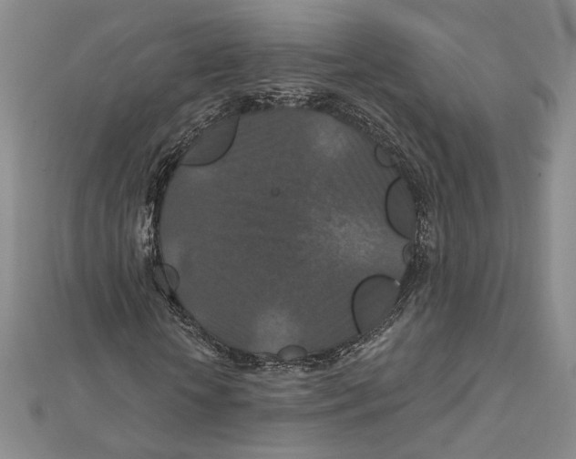 X0000112020818200908311152