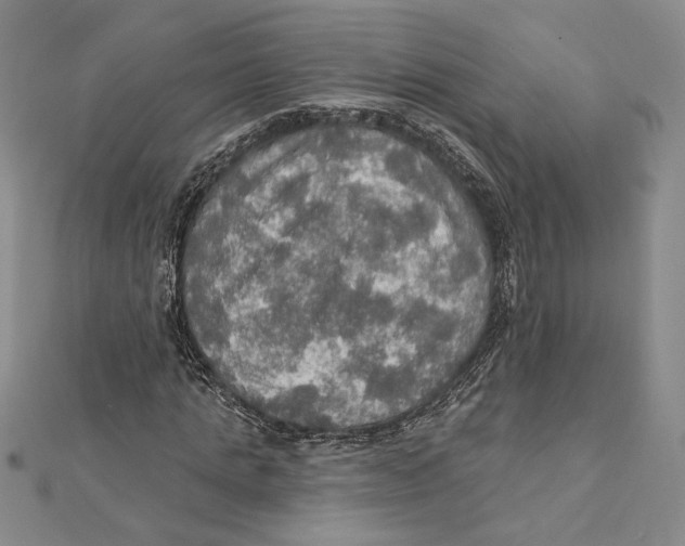 X0000112020821200908311152