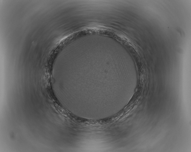 X0000112020822200908311152