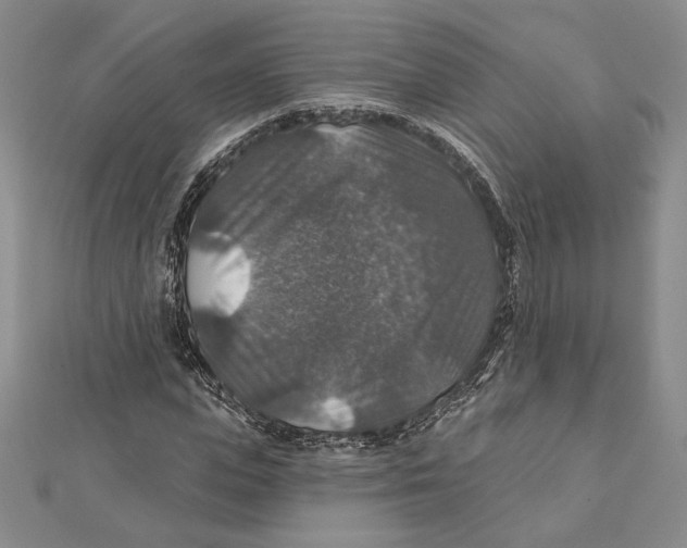 X0000112020823200908311152