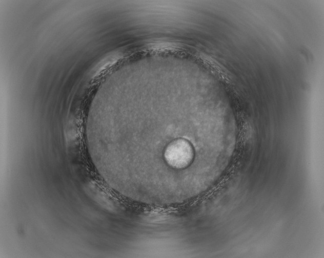 X0000112020824200908311152