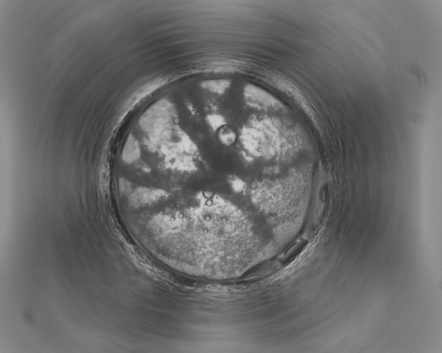 X0000112020827200908311153