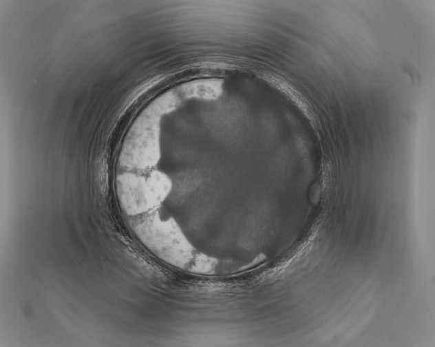 X0000112020829200908311153