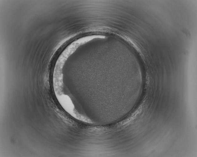 X0000112020830200908311153