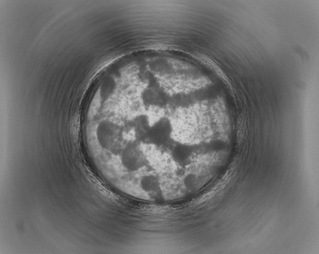 X0000112020831200908311153