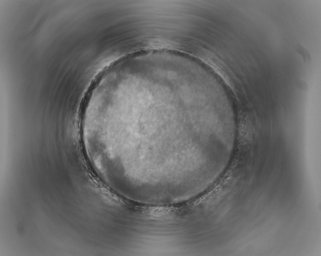 X0000112020832200908311153