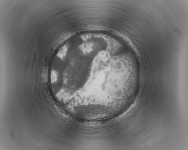 X0000112020833200908311153