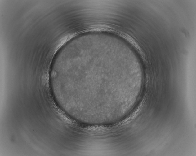 X0000112020834200908311153