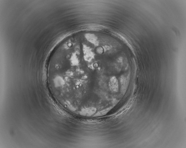 X0000112020835200908311153