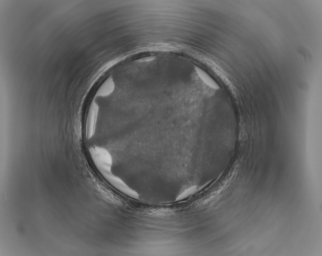 X0000112020837200908311153