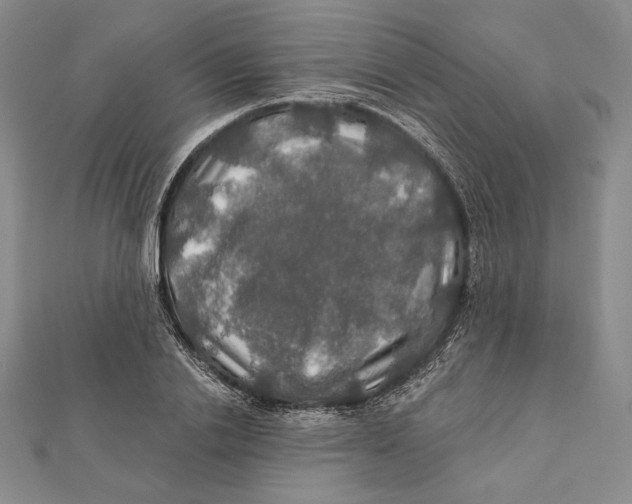 X0000112020838200908311153