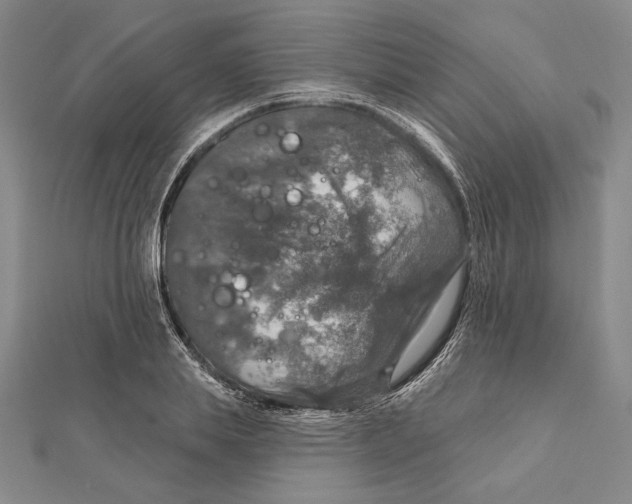 X0000112020839200908311153