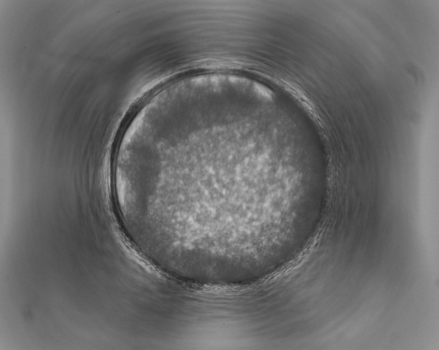 X0000112020840200908311153