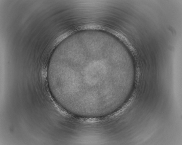 X0000112020841200908311153