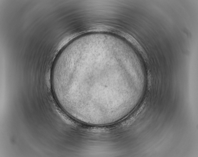 X0000112020842200908311153