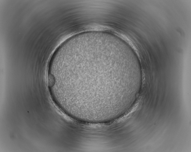 X0000112020843200908311153