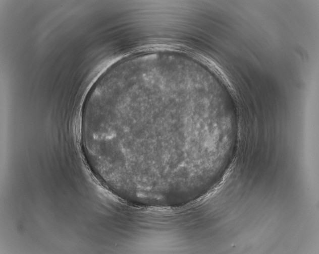 X0000112020844200908311153