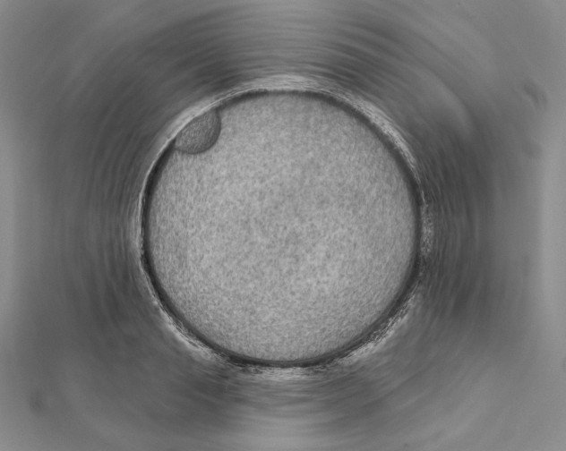 X0000112020845200908311153