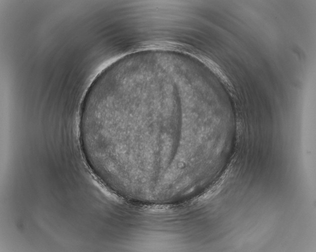 X0000112020846200908311153