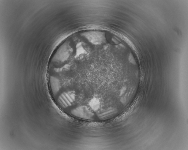 X0000112020847200908311153