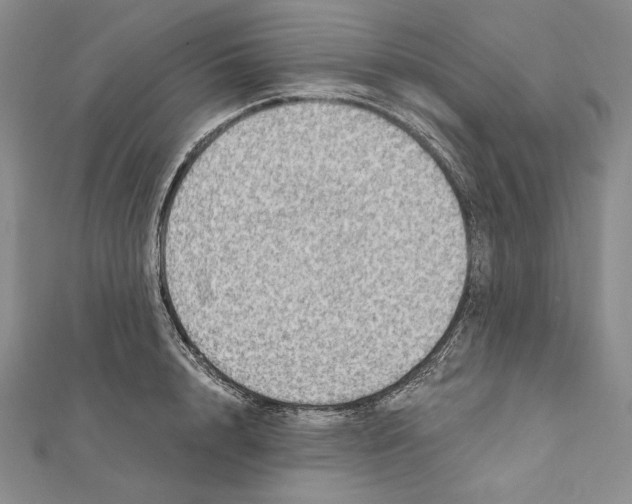 X0000112020848200908311153