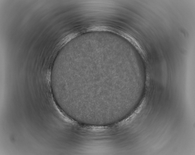 X0000112020849200908311153