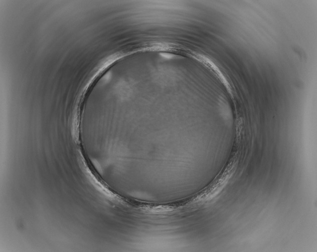 X0000112020851200908311153