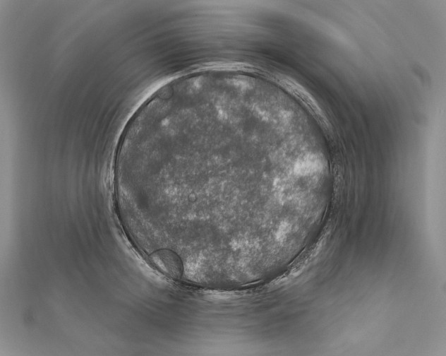 X0000112020852200908311153