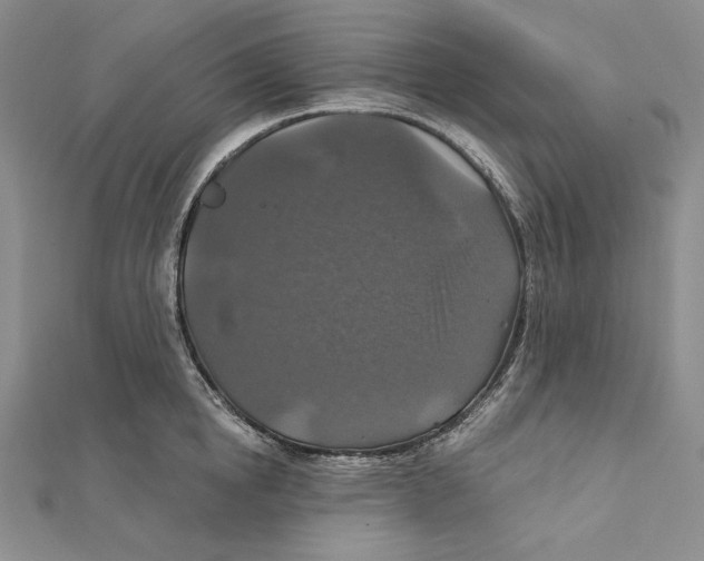 X0000112020854200908311153