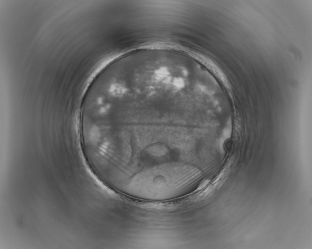 X0000112020855200908311153