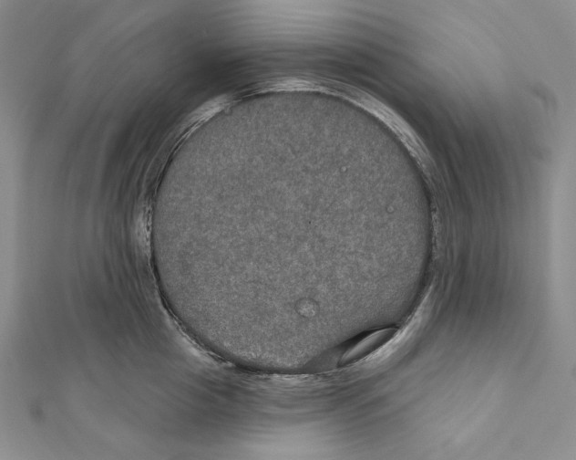 X0000112020857200908311153